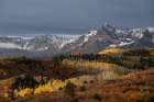 USA-Colorado-Uncompahgre National Forest Snowy Sneffels Range and autumn forest Art Print